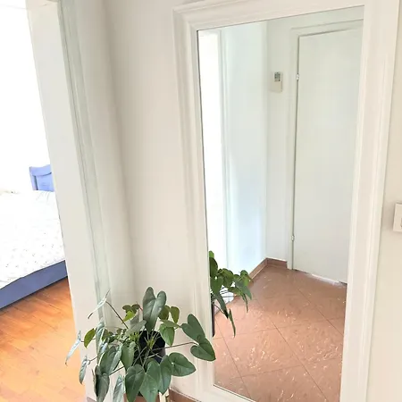 Olive * Сплит